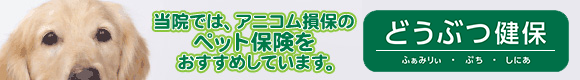 アニコム損保のペット保険