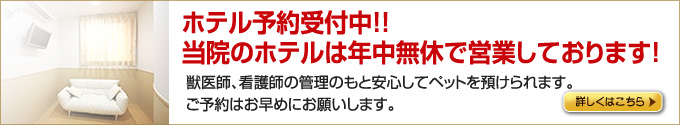 ホテル予約