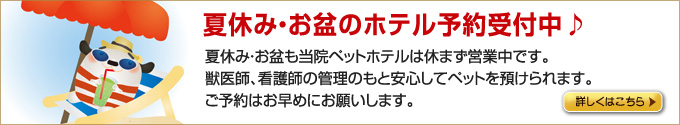 ホテル予約