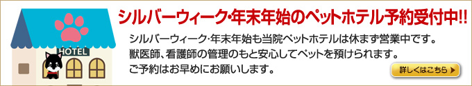 ホテル予約