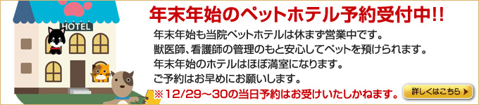 ホテル予約
