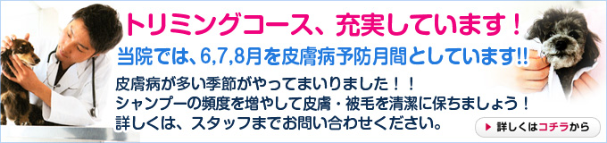 トリミング
