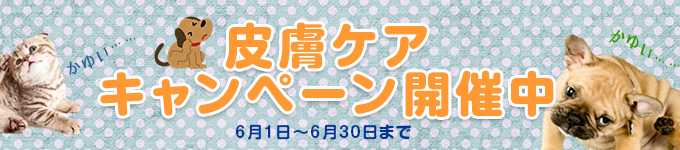 皮膚ケアキャンペーン