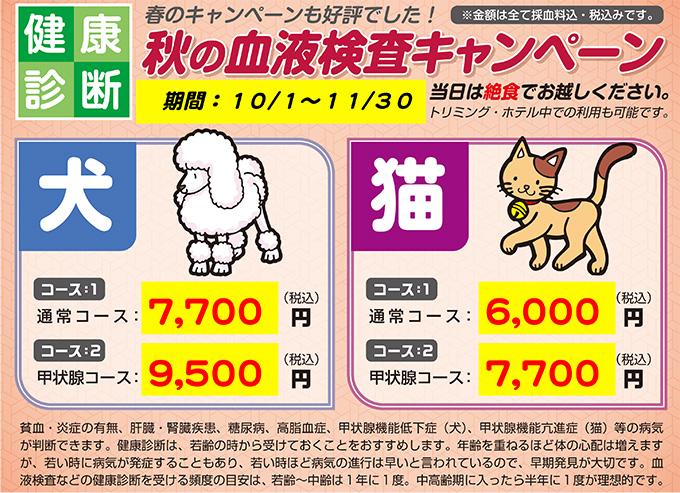 血液検査キャンペーン