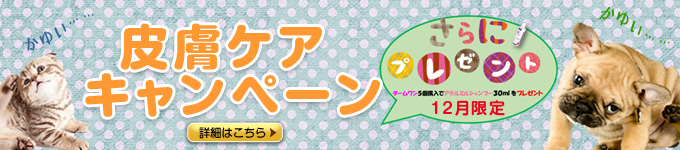皮膚キャンペーン