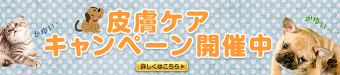 皮膚キャンペーン