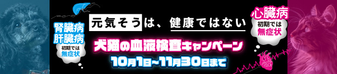 血液検査キャンペーン