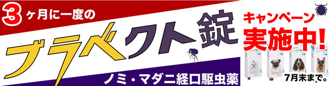 ノミダニ予防