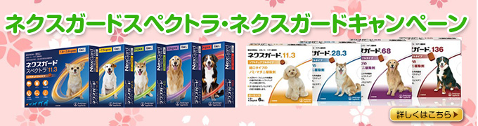 ノミダニキャンペーン