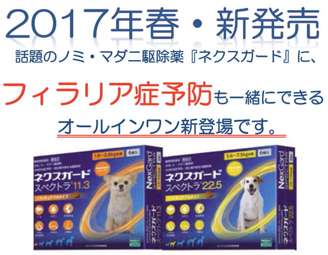チュアブルタイプ