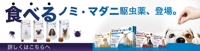 ノミダニ予防