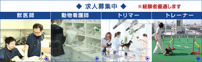 募集