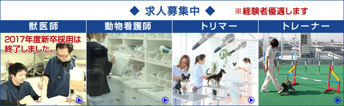 募集