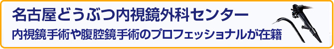 内視鏡外科センター