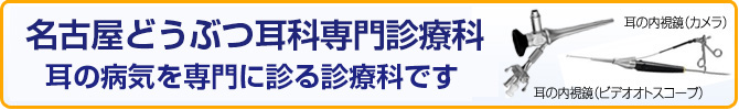 耳科専門診療科