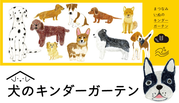 獣医師 がチェックし ドッグトレーナー と遊ぶ 松波動物病院 犬のキンダーガーテン