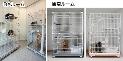 ネコちゃん用