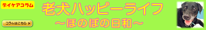デイケアコラム