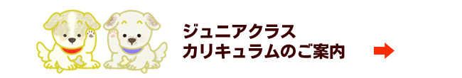ジュニアクラス(入門編しつけ教室)