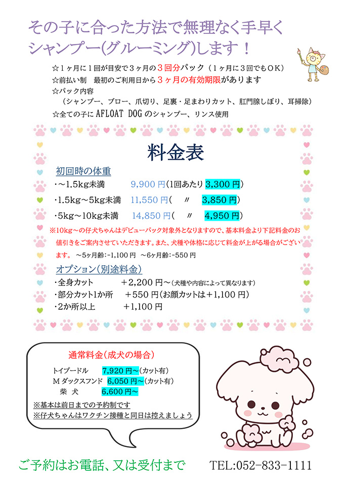 シャンプーデビューパック