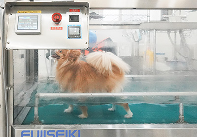 水中トレーニング