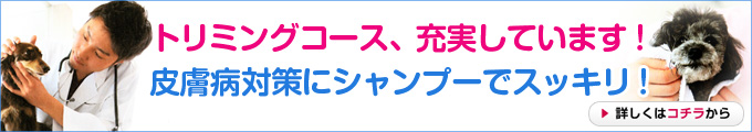 トリミング